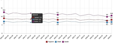 isgucu-istatistikleri-temmuz-2026.jpg