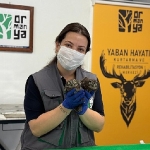 itfaiyeden-baykus-operasyonu.jpg