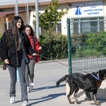izmirli-hayvansever-corekcinin-emanetlerine-izmir-buyuksehir-belediyesi-sahip-cikti.jpg