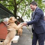 kadikoy-belediyesi-gecici-hayvan-bakimevi-yenilendi.jpg