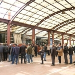 kahramankazanli-ciftcilere-fide-destegi-verildi.jpg
