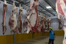 kasaplarin-tercihi-buyuksehir-mezbahasi.jpg