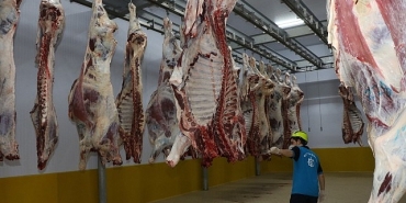 kasaplarin-tercihi-buyuksehir-mezbahasi.jpg