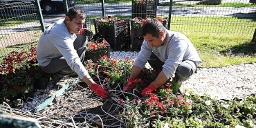 kemer-yaz-sezonuna-hazirlaniyor-ilce-petunyalarla-susleniyor.jpg