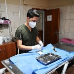 kemerde-227-sokak-hayvani-kisirlastirildi.jpg