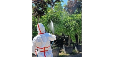kocaelinin-yesil-gelecegine-koruyucu-dokunus.jpg