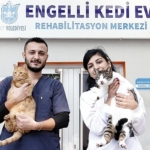 konakin-engelleri-asan-kedi-evinden-sahiplenme-cagrisi.jpg