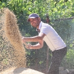 korkuteli-yesiloba-yaylasinda-bugday-hasadi-basladi.jpg