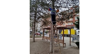 kuslara-yeni-yuvalar.jpg