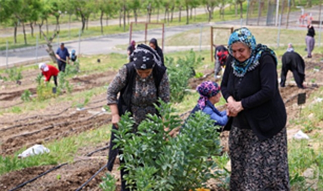 featured