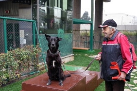 maltepede-pati-park-acildi.jpg
