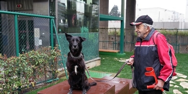 maltepede-pati-park-acildi.jpg