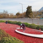 manisa-buyuksehir-peyzaj-calismalariyla-sehir-guzelligini-artiriyor.jpg