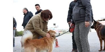 mavisehir-mahallesinde-buyuk-donusum-devam-ediyor.jpg
