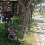mendereste-ot-seferberligi.jpg