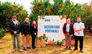 metro-turkiye-cografi-isaret-tesciline-aday-mersin-kan-portakalinin-izinde-pMRM78kv.jpg