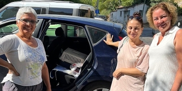 narlidere-belediyesinden-minik-dostlar-icin-seferberlik.jpg
