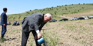 nilufer-belediyesi-konakliya-800-zeytin-fidani-dikti.jpg