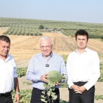 nilufer-belediyesinden-hirsiz-almaz-kavunu-icin-cografi-isaret-hazirligi.jpg