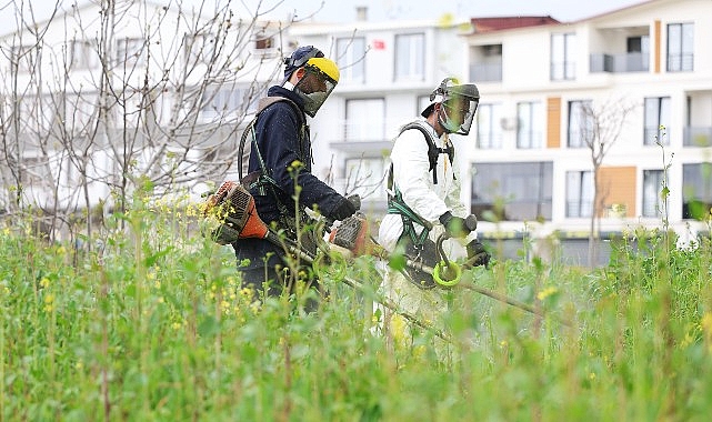 osmangazi-yabani-otlardan-temizleniyor.jpg