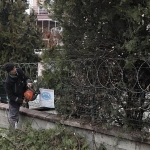 sehir-genelinde-agac-budama-calismalari-suruyor.jpg