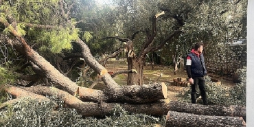 siddetli-firtina-nedeniyle-yasanan-olumsuz-durumlara-milas-belediyesi-aninda-mudahale-etti.jpg