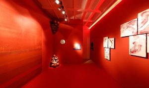 tam-mat-renkler-nippon-paintin-yeni-serisi-deepmattta-hiAwVpMn.jpg