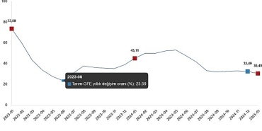 tarimsal-girdi-fiyat-endeksi-ocak-2025.jpg
