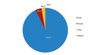 tuik-cig-sut-uretimi-2023-yilinda-04-azalarak-21-milyon-481-bin-567-ton-jHcNN1wV.jpg