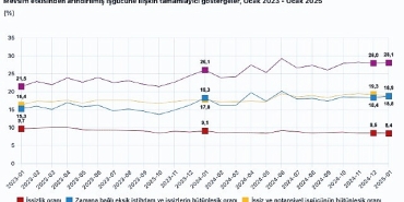 tuik-mevsim-etkisinden-arindirilmis-issizlik-orani-84-seviyesinde-gerceklesti.jpg