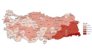 tuik-yuksekogretim-mezunlarinin-orani-25-yas-ve-uzeri-nufusta-246-oldu-bRc36UvD.jpg