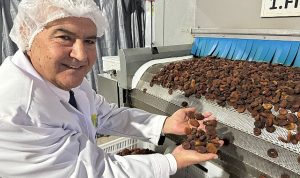 turk-gida-ihracatcilari-abdden-ticari-baglantilarla-dondu-mAuks8aV.jpg