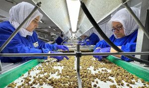 turkiye-organik-urun-ihracatinda-1-milyar-dolar-sinirini-asti-yeni-ihracat-hedefi-2-milyar-WvGHq9N1.jpg