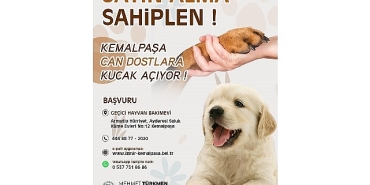 turkmen-can-dostlarimiza-yuva-olmak-hepimizin-sorumlulugu.jpg