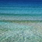 uploaded-image-altin-oran-nedir-1699699185999