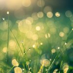 uploaded-image-antika-esyalarin-gercek-oldugu-nasil-anlasilir-1699699260931