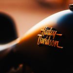 uploaded-image-civril-gezilecek-yerler-1699699396434