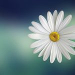 uploaded-image-dinukleotid-nedir-1699699386506