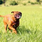 uploaded-image-en-iyi-15-isofix-bebek-oto-koltugu-listesi-1699699260227