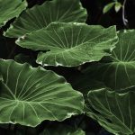 uploaded-image-ozguven-eksikligi-nasil-gecer-1699699457116