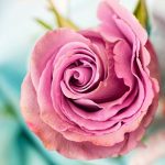 uploaded-image-ozguveni-ne-arttirir-1699699248974