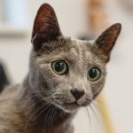 uploaded-image-yaz-mevsimi-icin-en-etkili-10-sac-bakimi-1699699411678