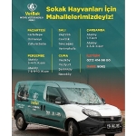 vetbak-patili-dostlarin-yaninda-olmaya-devam-ediyor.jpg