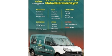 vetbak-patili-dostlarin-yaninda-olmaya-devam-ediyor.jpg