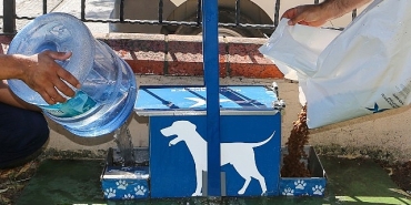 yazin-sicak-gunlerinde-kucukcekmece-belediyesinden-sokak-hayvanlarina-can-suyu-cagrisi.jpg