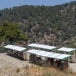 yenisehirde-3-bin-600-dekarlik-ari-cenneti.jpg