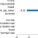 yurt-ici-uretici-fiyat-endeksi-ocak-2024-PqpZ4qqm.jpg