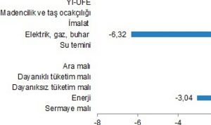 yurt-ici-uretici-fiyat-endeksi-ocak-2024-PqpZ4qqm.jpg